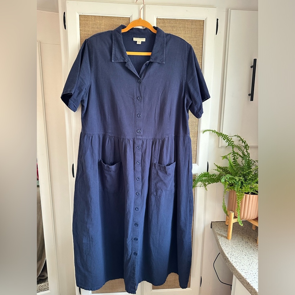 Vintage Appleseed’s Dress